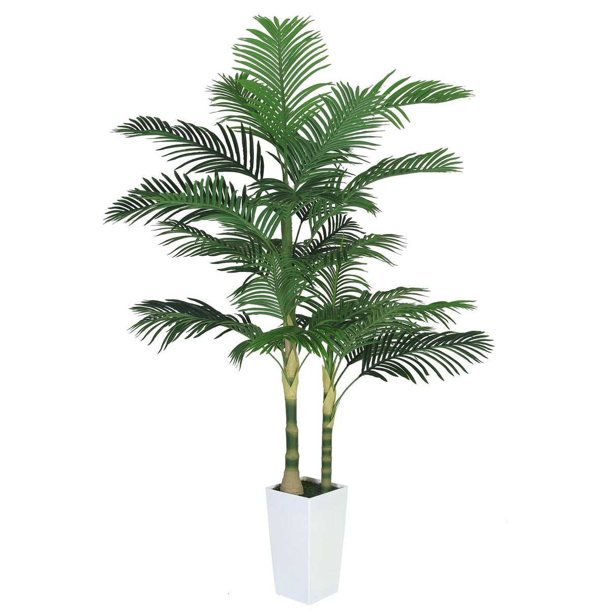 Philodendron Xanadu Planter